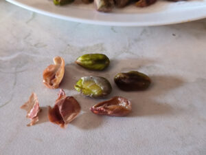 Pistacchi su carta assorbente